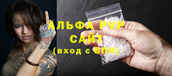 ГАЛЛЮЦИНОГЕННЫЕ ГРИБЫ Богданович