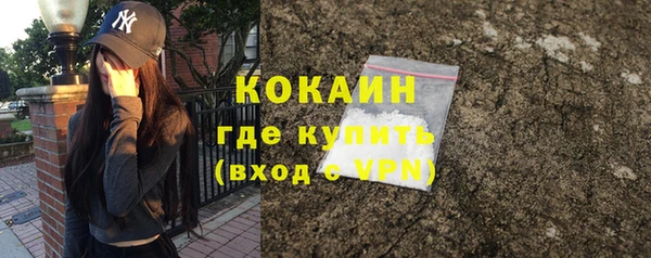 ГАЛЛЮЦИНОГЕННЫЕ ГРИБЫ Богданович