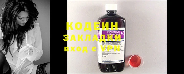 ГАЛЛЮЦИНОГЕННЫЕ ГРИБЫ Богданович