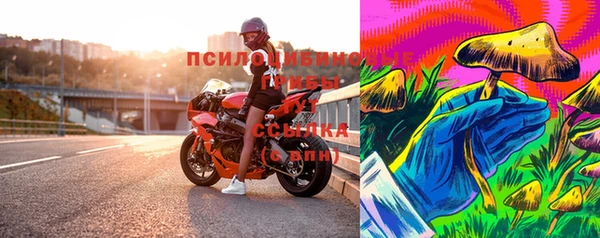 ECSTASY Богородицк