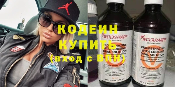 ГАЛЛЮЦИНОГЕННЫЕ ГРИБЫ Богданович