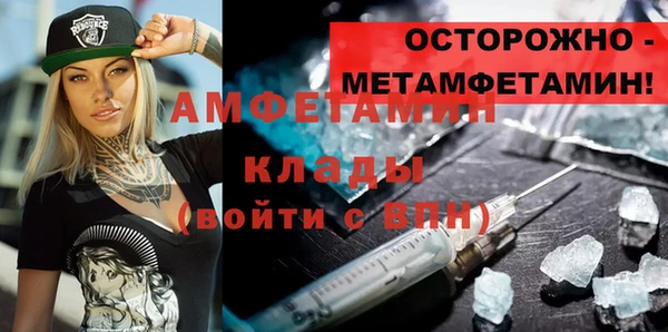 ГАЛЛЮЦИНОГЕННЫЕ ГРИБЫ Богданович