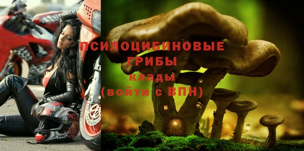 ECSTASY Богородицк