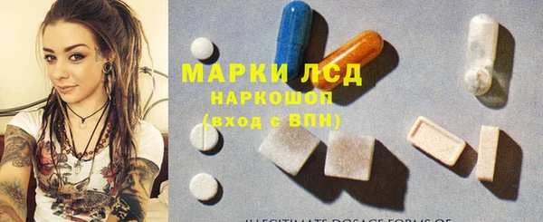 ECSTASY Богородицк