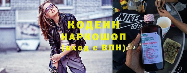 ГАЛЛЮЦИНОГЕННЫЕ ГРИБЫ Богданович