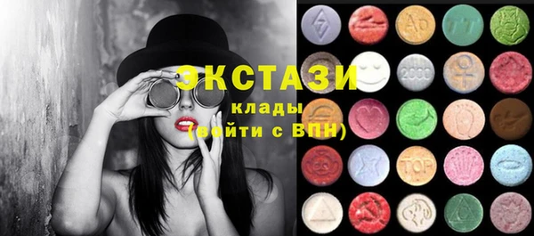 ECSTASY Богородицк