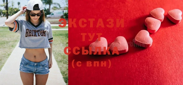 ECSTASY Богородицк