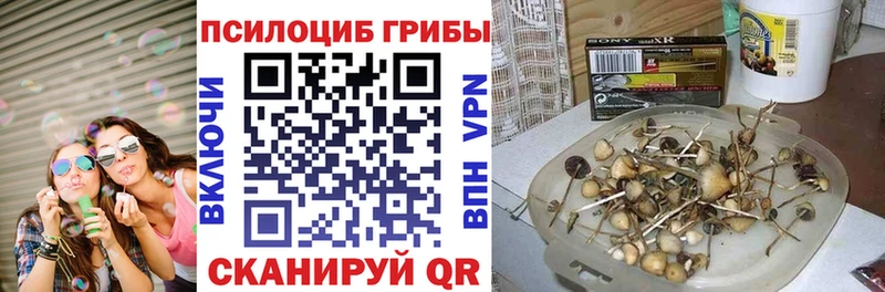 Псилоцибиновые грибы Psilocybine cubensis  что такое наркотик  ОМГ ОМГ зеркало  Светлый 